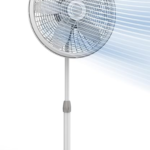 FAN22