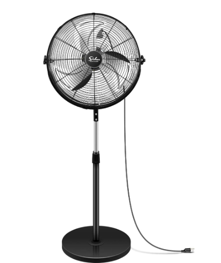 image32.png FAN31 - Image 1